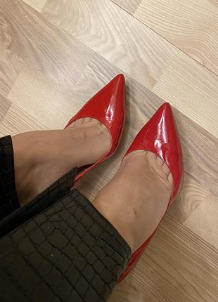 Човники шкіра