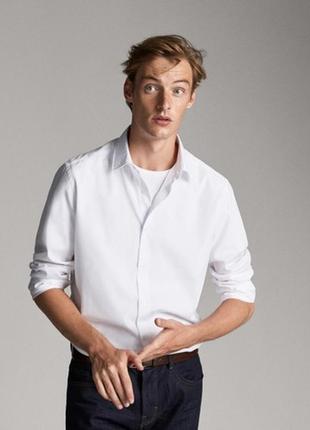 Рубашка мужская massimo dutti3 фото