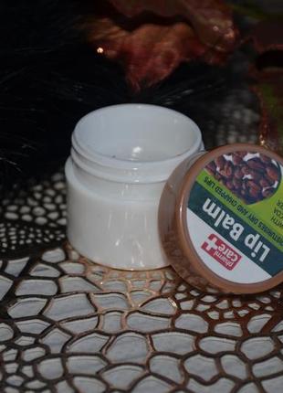 Бальзам для губ с какао-маслом pharmacare lip balm with cocoa butter4 фото