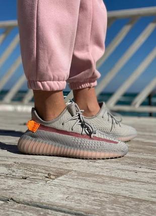 Женские кроссовки adidas yeezy boost 350 v2 grey 36-37-38-39-40-416 фото