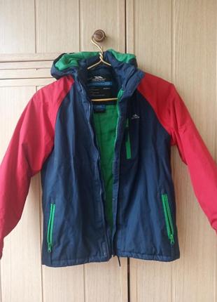 Термокуртка