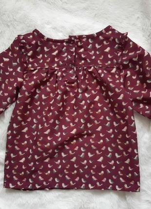 Блуза для дівчинки 5 років (110см)2 фото