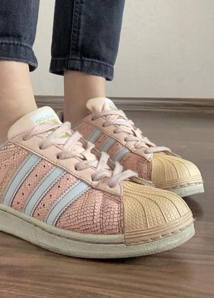 Superstar adidas1 фото