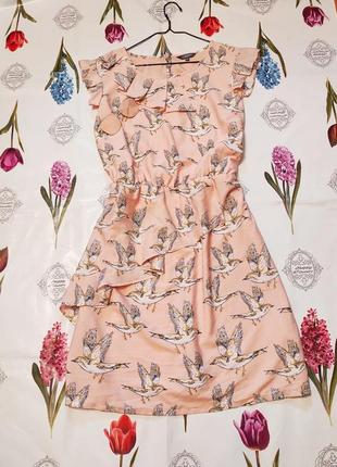 Нежное пудровое платье миди с принтом птиц и оборками от limited collection2 фото