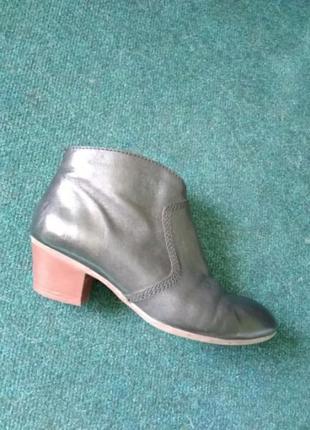 Черевички clarks шкіра