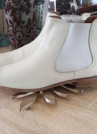 Новые элегантные  ботинки  челси натур кожа  " minelli"   40-413 фото