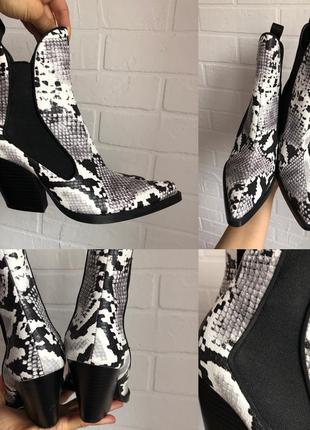 Женские ботинки казаки змеиный принт от бренда zara2 фото
