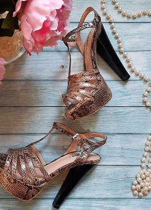 Питоновые босоніжки, високий каблук, стильні, для pole dance🔥