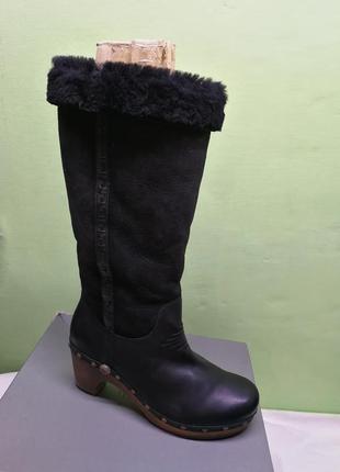 Сапоги ugg1 фото