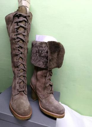 Сапоги ugg2 фото