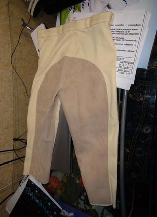 Мужские бриджи для конного спорта :  jodhpurs and breeches