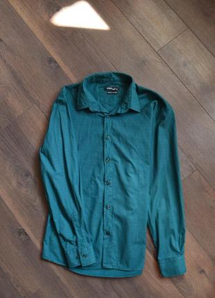 Зеленая рубашка zara мужская