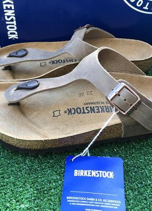 Сланцы шлепки birkenstock  gizeh oiled leather. оригинал6 фото