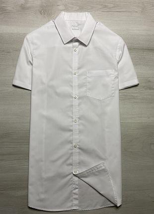 Чоловіча сорочка next