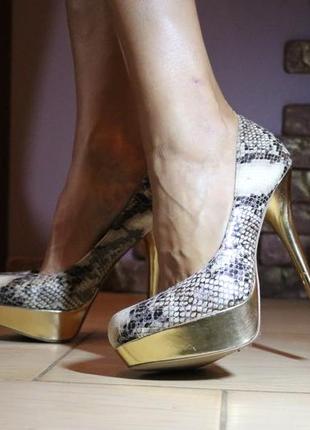 Туфлі steve madden
