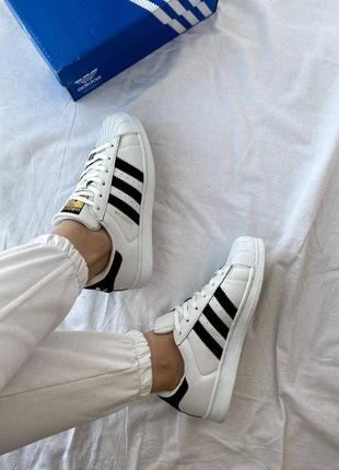 Чоловічі кросівки adidas superstar