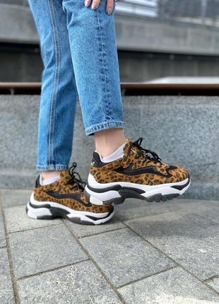 Кроссовки leopard 9
