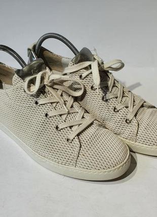 Кеды кеди paul green