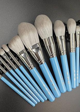 Набір пензлів для макіяжу