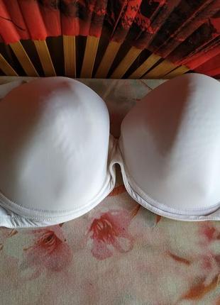 Бюстгальтер