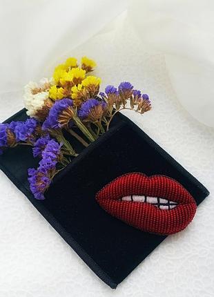 Брошь губки