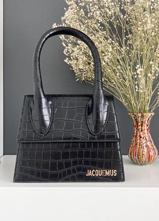 Jacquemus міні сумка