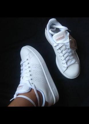 Кеди adidas