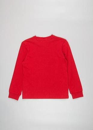 Реглан на мальчика ronnie cay 2