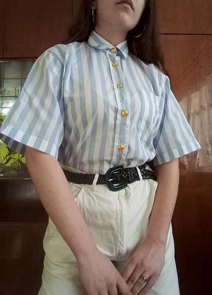 Сорочка в смужку з золотими гудзиками s-l