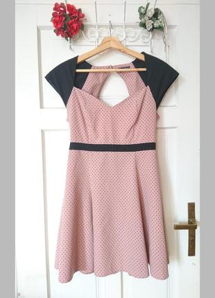 Стильна пудрова сукня/платье/плаття в горошок з вирізом на спинці miss selfridge, на р. м4 фото