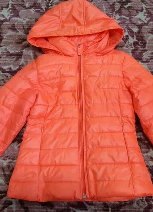 Курточка palomino