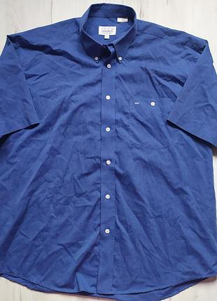 Теніска, шведка