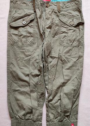 Стильные женские шорты, бриджи edc