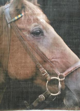 Батистовывающийся винтажный карманный платок лошади ручная работа рауль3 фото