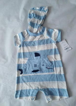 Пісочник з капюшоном