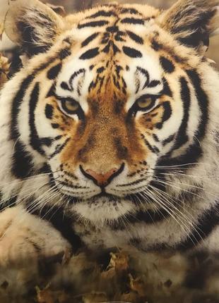 Нереально красивая и стильная брендовая футболка с тигром.7 фото
