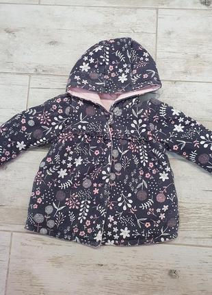 Бомбер, ветровка, вітровка, куртка, курточка