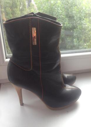 Півчобітки