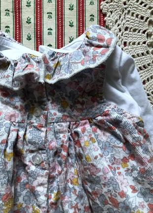 Набор комплект реглан сарафан платье вельвет в цветы nutmeg на 0-1 мес10 фото
