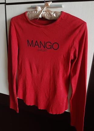 Кофта mango