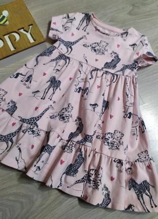 Літнє плаття f&f