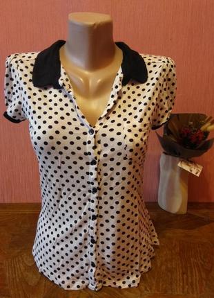 Поло в горошек 1 грн при покупке