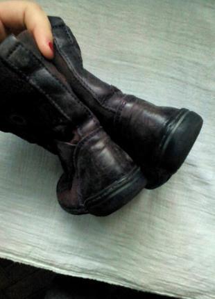 Ботинки сапожки сапоги ботинки gattino 15 см италия3 фото