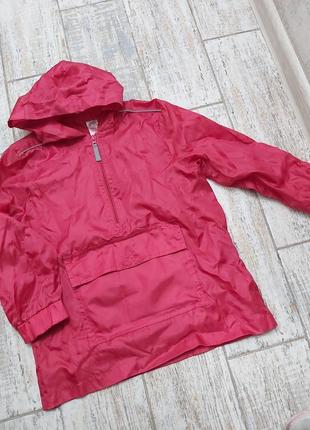 Вітровка дощовик