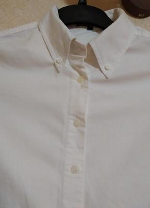 Rewiew как новая рубашка хлопок блуза сорочка хлопковая3 фото