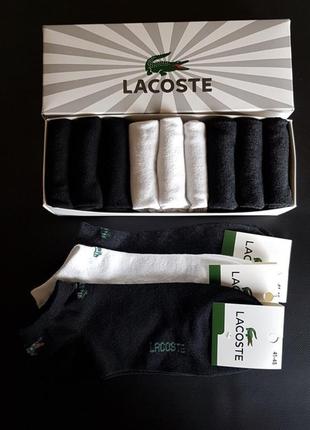 Шкарпетки lacoste