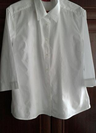 Хлопковая белоснежная блузка рубашка с рукавом 1/2 l.o.g.g швеция  батал