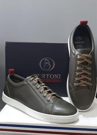 Кеды bertoni