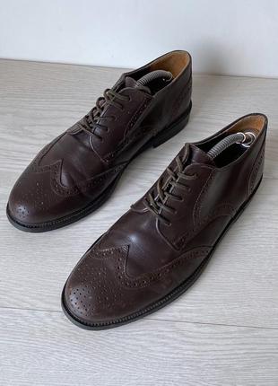 Туфлі броги оксфорди shoe tailor