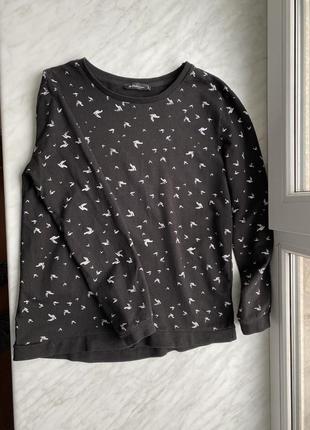 Colins, чорний светр, джемпер, кофта жіночий котоновий весна осінь демі